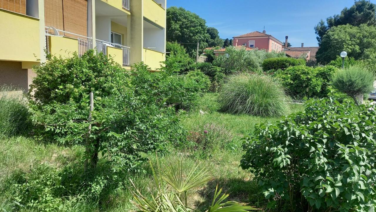 Apartment Sara - Đảo Cres Ngoại thất bức ảnh